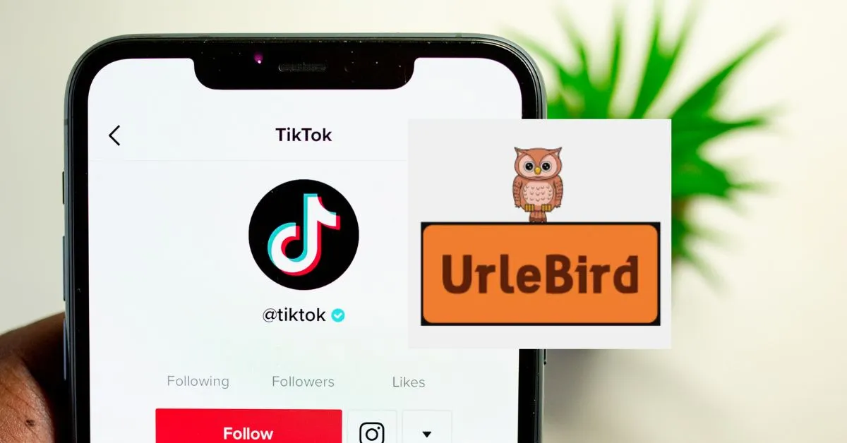 www urlebird com