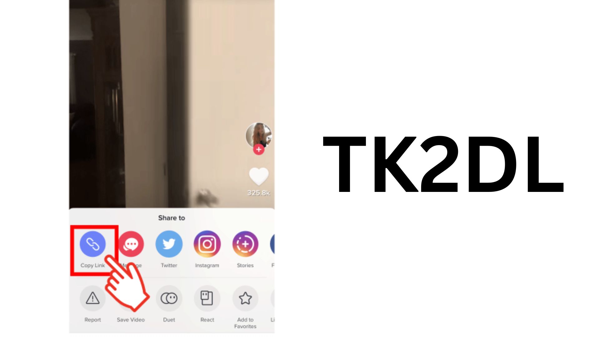 Tk2dl: TikTok Videos Downloader